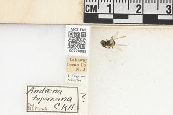 Media type: image;   Entomology 774085 Aspect: Labels
